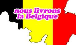 livraison de volet roulant en Belgique